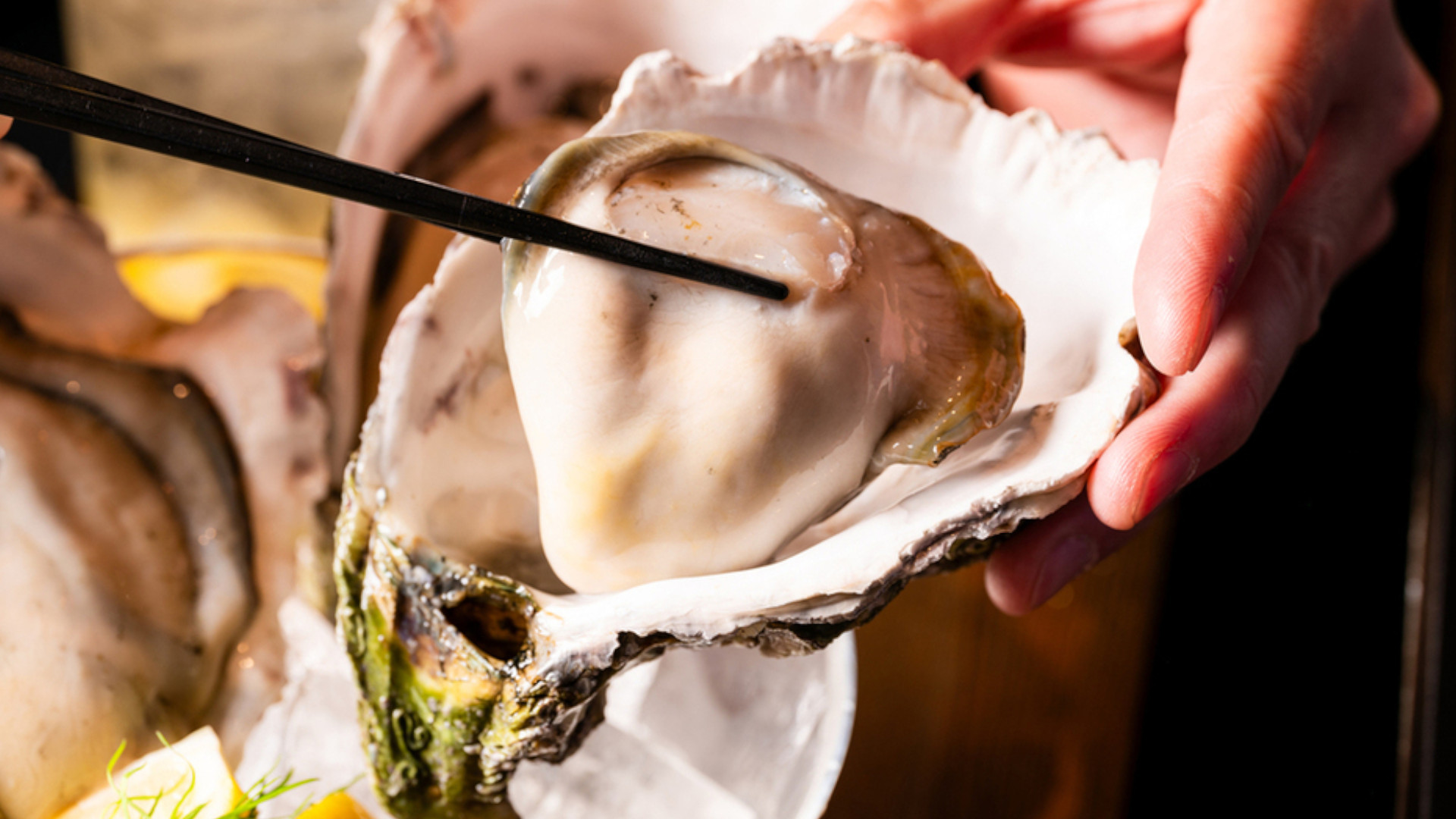 綱島カキイロハFV1